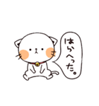 うえからねこ（個別スタンプ：3）