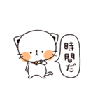 うえからねこ（個別スタンプ：4）