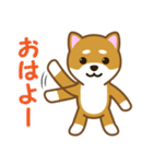 柴犬たろう（個別スタンプ：1）