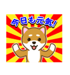 柴犬たろう（個別スタンプ：4）