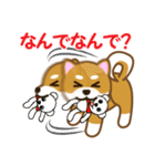 柴犬たろう（個別スタンプ：13）