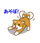 柴犬たろう（個別スタンプ：14）