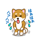 柴犬たろう（個別スタンプ：17）