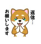 柴犬たろう（個別スタンプ：23）