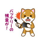 柴犬たろう（個別スタンプ：24）