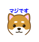 柴犬たろう（個別スタンプ：25）