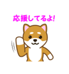 柴犬たろう（個別スタンプ：31）