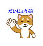 柴犬たろう（個別スタンプ：32）