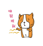 Dog ＆ Bear 3（個別スタンプ：3）
