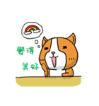 Dog ＆ Bear 3（個別スタンプ：5）