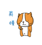 Dog ＆ Bear 3（個別スタンプ：19）
