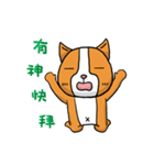 Dog ＆ Bear 3（個別スタンプ：25）
