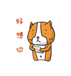 Dog ＆ Bear 3（個別スタンプ：31）
