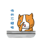 Dog ＆ Bear 3（個別スタンプ：35）