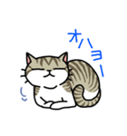 猫の手を貸したい（個別スタンプ：14）