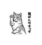 「猫」スタンプ（個別スタンプ：25）