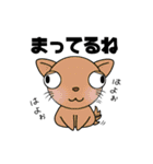キモかわ！動物スタンプ40（個別スタンプ：5）
