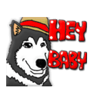 Husky Chief's dairy by Alarein（個別スタンプ：12）