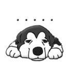 Husky Chief's dairy by Alarein（個別スタンプ：16）
