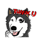 Husky Chief's dairy by Alarein（個別スタンプ：20）