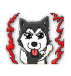 Husky Chief's dairy by Alarein（個別スタンプ：25）