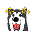 Husky Chief's dairy by Alarein（個別スタンプ：29）