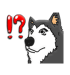 Husky Chief's dairy by Alarein（個別スタンプ：38）