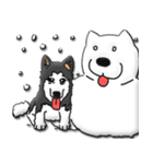 Husky Chief's dairy by Alarein（個別スタンプ：39）