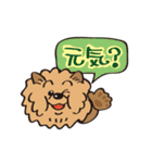 Mr.チャウチャウ（個別スタンプ：11）