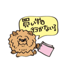 Mr.チャウチャウ（個別スタンプ：13）