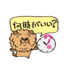 Mr.チャウチャウ（個別スタンプ：34）