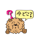 Mr.チャウチャウ（個別スタンプ：37）