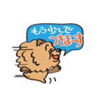 Mr.チャウチャウ（個別スタンプ：38）