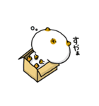 箱入りねこ（個別スタンプ：12）