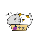 箱入りねこ（個別スタンプ：35）