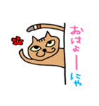ねこがのぞき見（個別スタンプ：1）