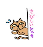 ねこがのぞき見（個別スタンプ：23）