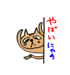 ねこがのぞき見（個別スタンプ：24）