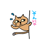 ねこがのぞき見（個別スタンプ：25）