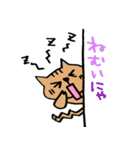 ねこがのぞき見（個別スタンプ：34）