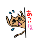 ねこがのぞき見（個別スタンプ：35）