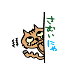 ねこがのぞき見（個別スタンプ：37）
