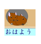 デグーあるある（個別スタンプ：10）