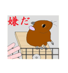 デグーあるある（個別スタンプ：35）