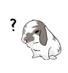 やもじ（個別スタンプ：6）