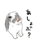 やもじ（個別スタンプ：9）