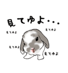 やもじ（個別スタンプ：15）