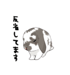 やもじ（個別スタンプ：16）