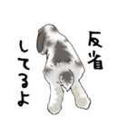やもじ（個別スタンプ：17）
