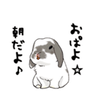 やもじ（個別スタンプ：19）
